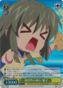 海産性の違い 風子【SR】