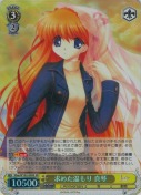 求めた温もり 真琴【SR】