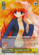 求めた温もり 真琴【R】