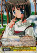 真冬のアイスクリーム 栞