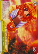 最後の願い