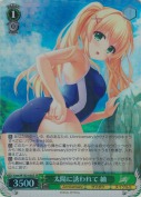 太陽に誘われて 紬【SR】