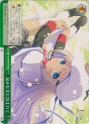 温かな光に包まれて