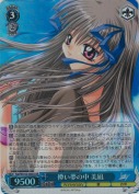 儚い夢の中 美凪【SR】