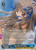 儚い夢の中 美凪【R】