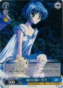 秘めた願い 佳乃