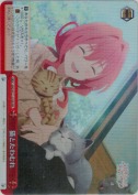 猫とたわむれ【RRR】