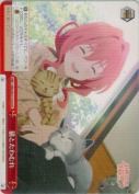 猫とたわむれ