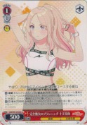 完全無欠のプランニング 十王星南