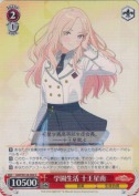 学園生活 十王星南