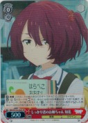しっかり者のお姉ちゃん 知花【SR】
