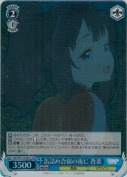 缶詰め合宿の夜に 杏菜【SR】
