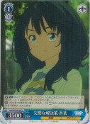 完璧な解決策 杏菜