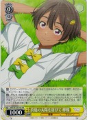 真夏の太陽を浴びて 檸檬【PR】