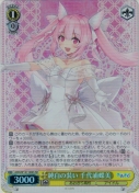 純白の装い 千代浦蝶美【SR】