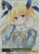 夢の中へ さくら【PR】【箔押し】