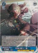 星海に願う 二亜