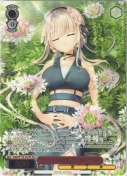 “クレオメが咲き誇るこの場所で”陽彩【カートンPR】