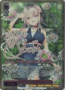 “クレオメが咲き誇るこの場所で”陽彩【千春SSPサイン】