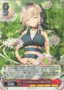 “クレオメが咲き誇るこの場所で”陽彩【RR】