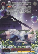 “泡沫の星々を巡る風”陽彩【カートンPR】