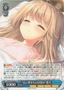 “長い夢からの目覚め”愛乃【R】
