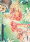 砂漠の華【箱プロモ】【PR】【箔押し】