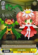 ぎる＆ぱに