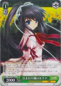 ひまわり畑のルチア