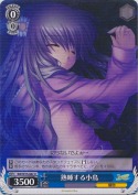 熟睡する小鳥