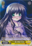 “一番の理由”小鳥