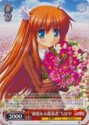 “親愛なる探求者”ちはや【RR】