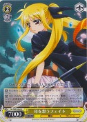 母を想うフェイト