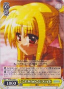 これからのこと フェイト【R】