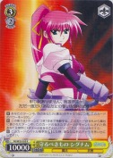 守るべきもの シグナム【R】