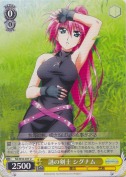 謎の剣士 シグナム