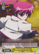 将の宣言 シグナム