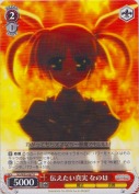 伝えたい真実 なのは