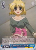 お寝坊さん シャマル