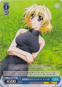 補助魔法のエキスパート シャマル