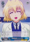 管理局員 シャマル