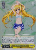 水着のフェイト【RRR】
