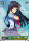 完全無欠なお嬢様 遥月【RR】
