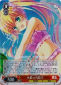 水着の乃絵里【SR】