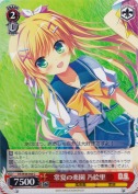 常夏の楽園 乃絵里