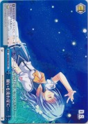 願いを流れ星に…