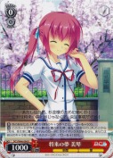 将来の夢 美琴