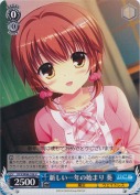 新しい一年の始まり 葵