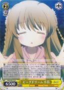 ビッグドリーム　小鳥
