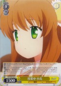 授業中　小鳥